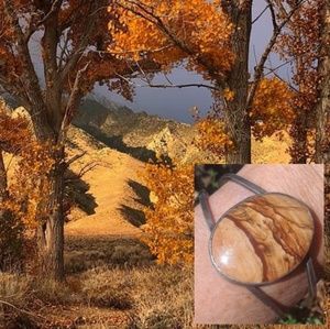 Beautiful Jasper and sterling cuff bracelet